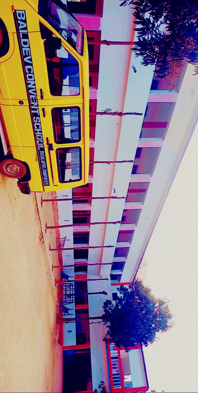 School celebration at Baldev Convent School