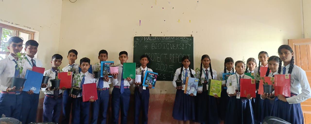 Students sharing classroom activities